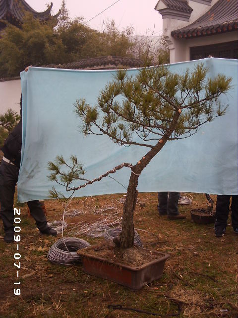 PHOT0133.JPG