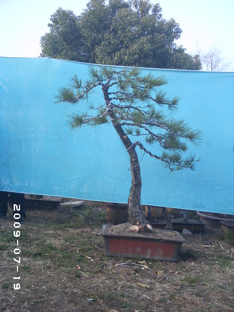 PHOT0138.JPG