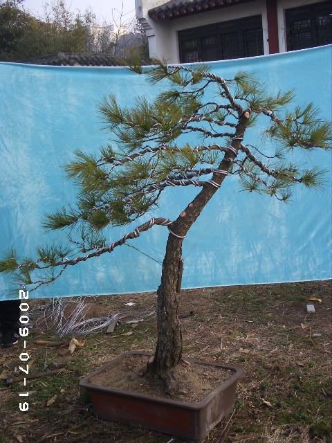 PHOT0139.JPG