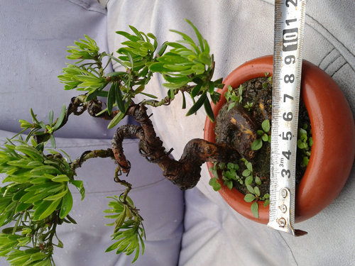 2013-05-30 16.50.35.jpg