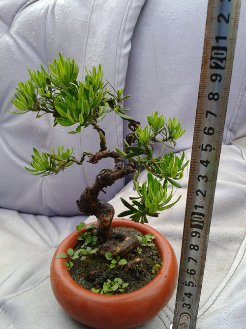 2013-05-30 16.51.24.jpg