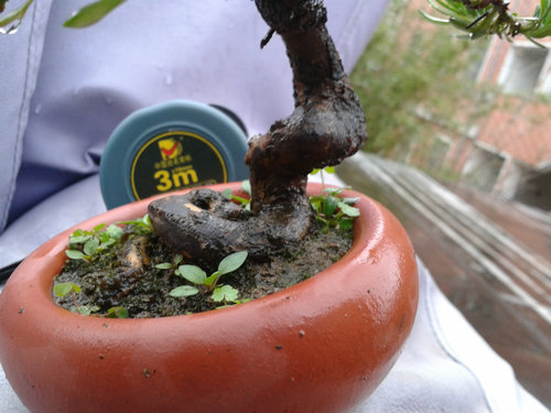 2013-05-30 16.52.56.jpg