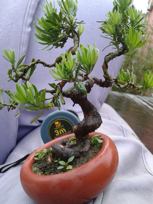 2013-05-30 16.52.40.jpg