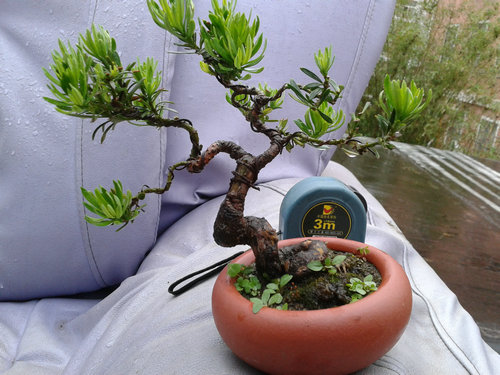 2013-05-30 16.53.50.jpg