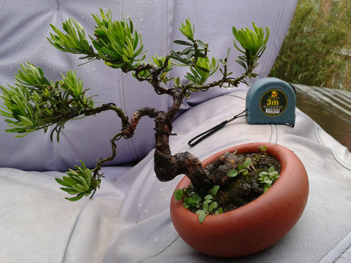 2013-05-30 16.54.43.jpg