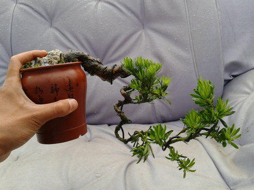 2013-05-30 17.20.35.jpg