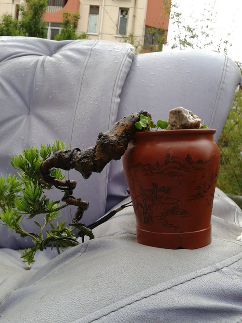 2013-05-30 17.22.01.jpg