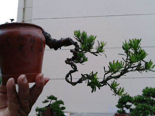 2013-05-30 17.23.18.jpg