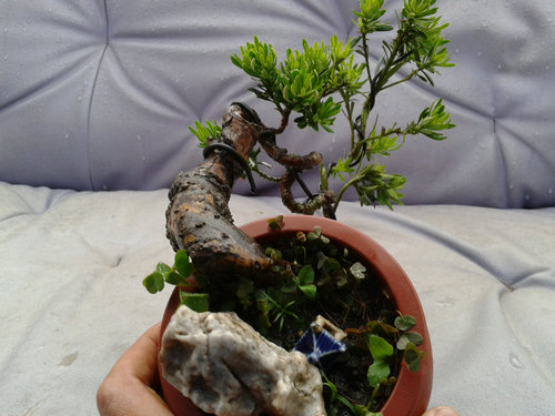 2013-05-30 17.18.44.jpg