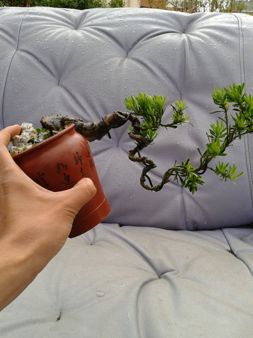 2013-05-30 17.19.52.jpg