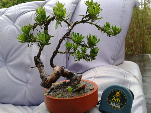 2013-05-30 17.09.13.jpg