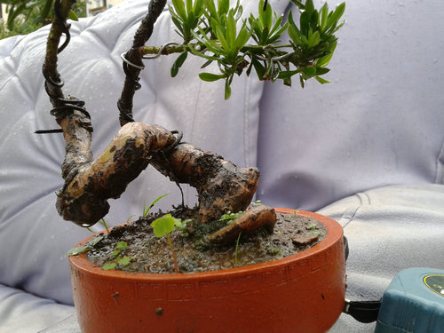 2013-05-30 17.09.32.jpg