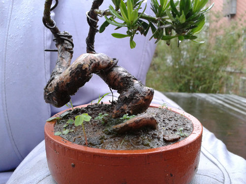 2013-05-30 17.10.43.jpg