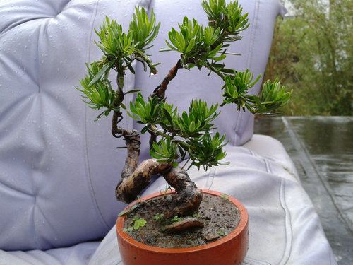 2013-05-30 17.10.31.jpg