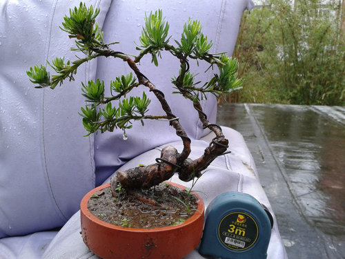 2013-05-30 17.08.27.jpg