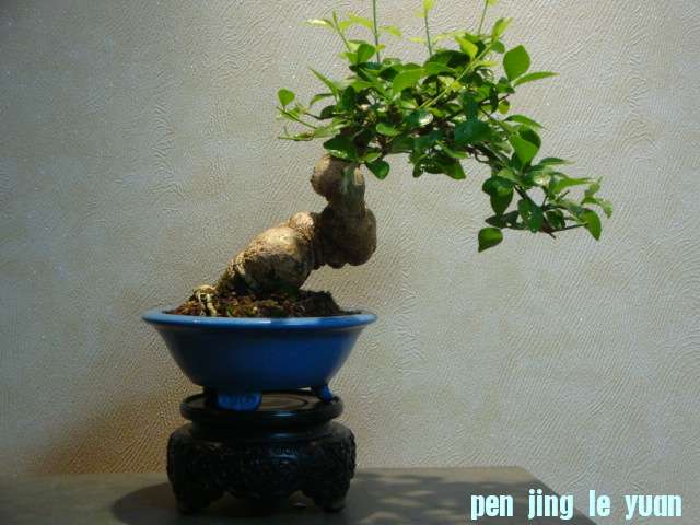 DSC04048.JPG
