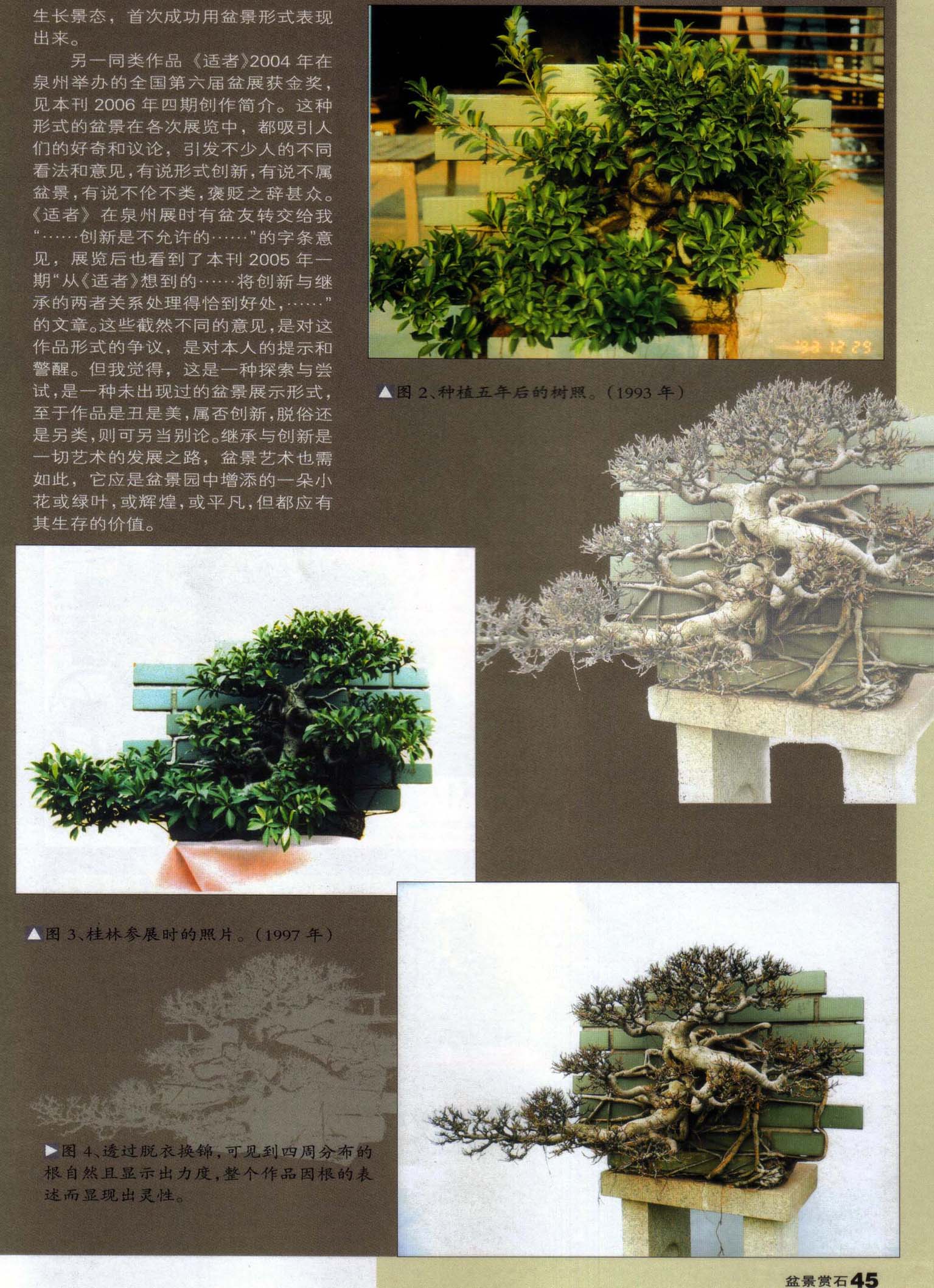 ѧ-桵1.jpg