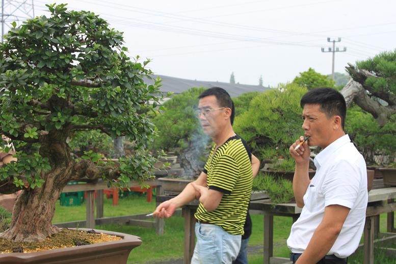 Ƭ 093.jpg