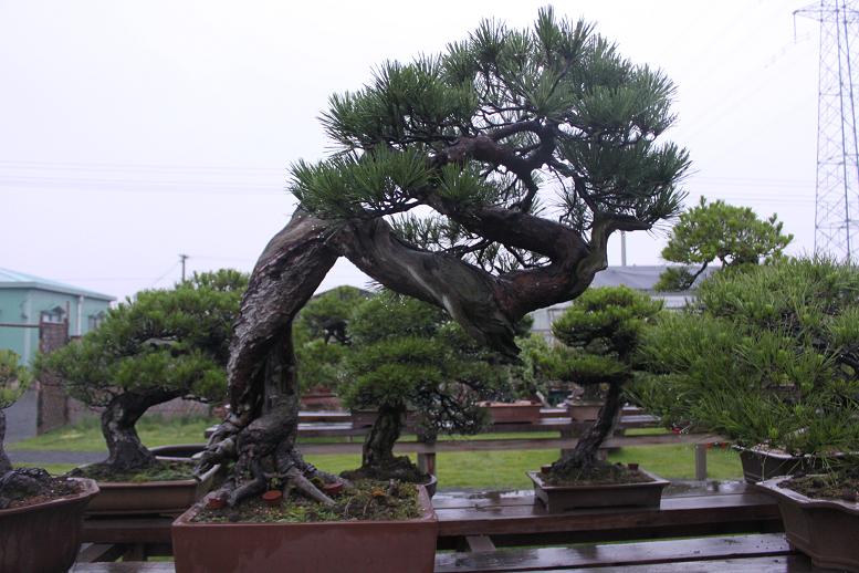 Ƭ 086.jpg