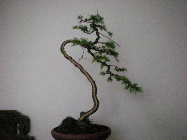 С Ƭ 030.jpg