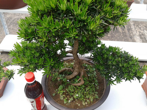 2013-05-29 13.35.24.jpg