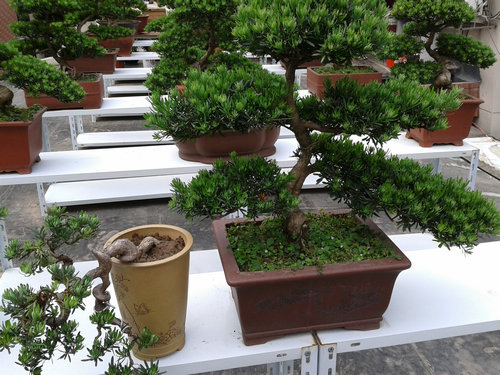 2013-05-27 14.31.41.jpg