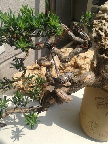 2013-05-21 13.46.03.jpg
