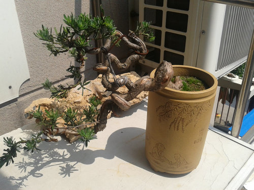 2013-05-21 13.47.51.jpg