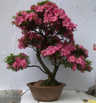 20130601249.jpg