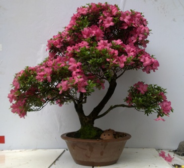 20130601250.jpg