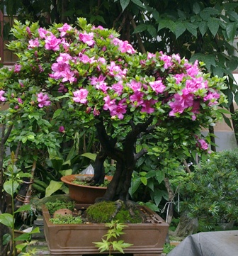 20130531227.jpg