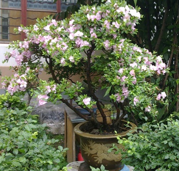 20130531228.jpg
