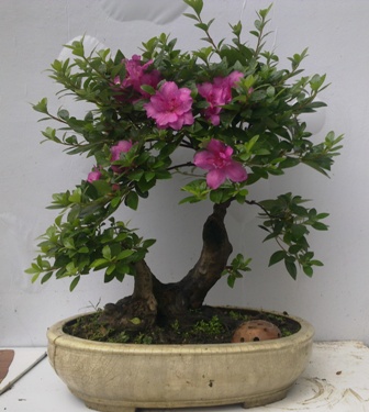 20130601244.jpg