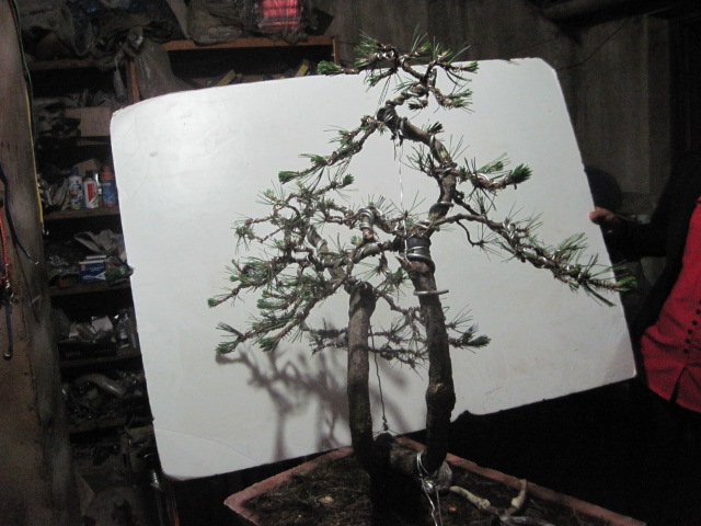 0601 010.jpg