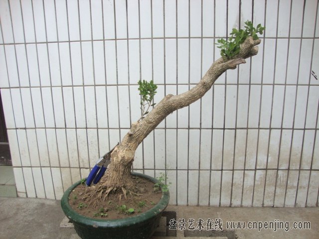 130432dboxsxsk2o24f9xg.jpg