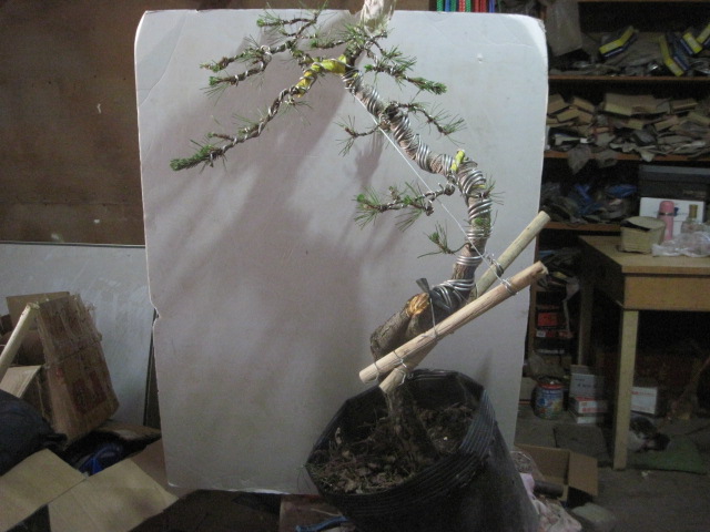 0604 003.jpg