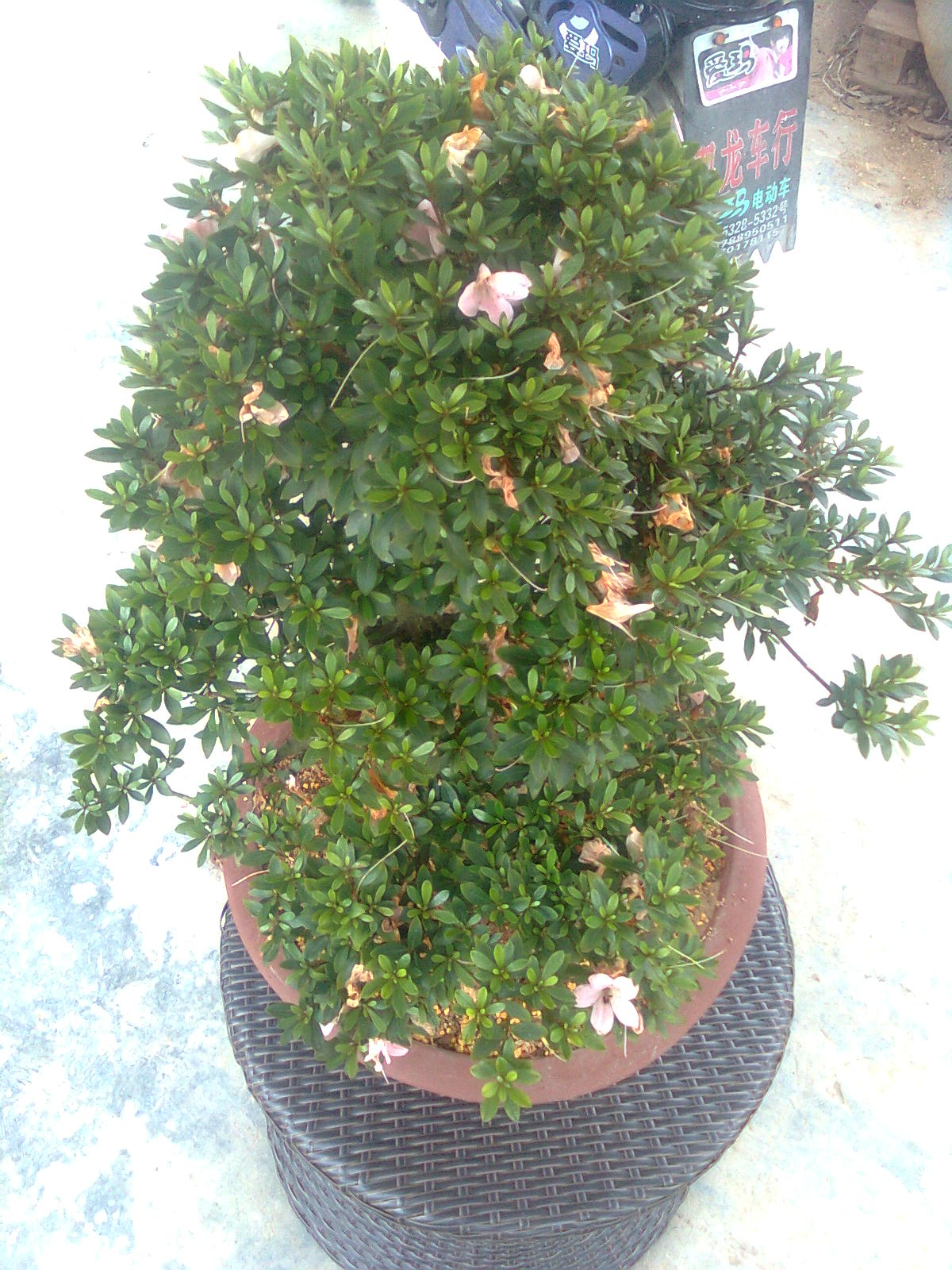 ͼ0761.jpg