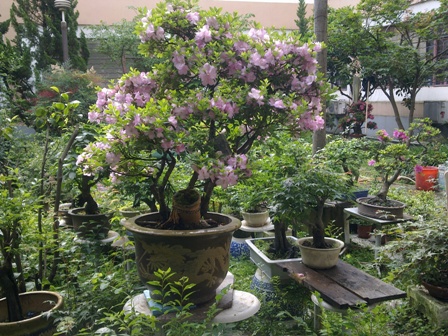20130604275.jpg