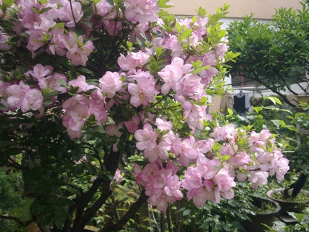 20130604276.jpg