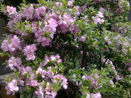 20130604277.jpg