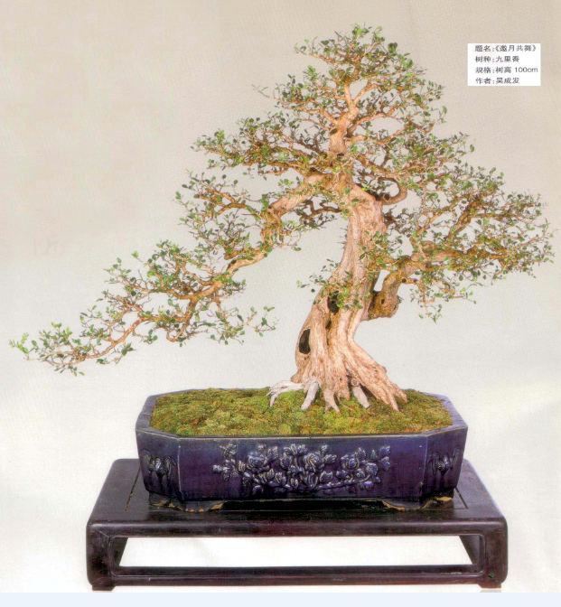 ɷ-ţ215.jpg