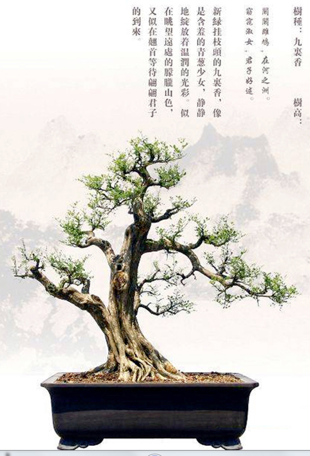 ɷ-ţ219.jpg