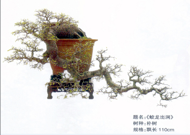 ɷ-ţ222.jpg