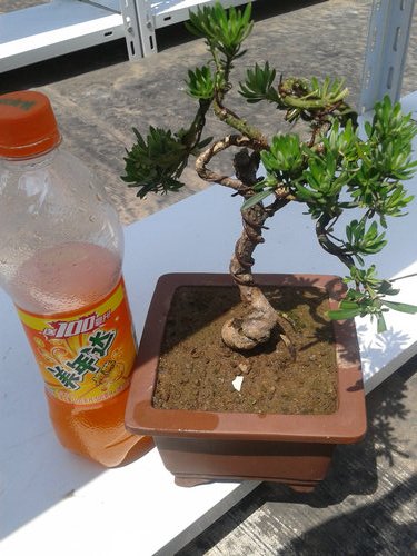 2013-06-05 13.28.45.jpg