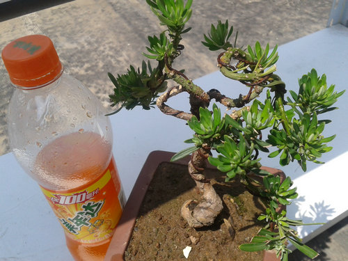 2013-06-05 13.29.01.jpg