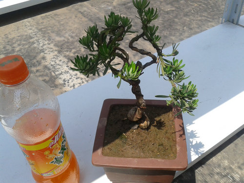 2013-06-05 13.29.27.jpg