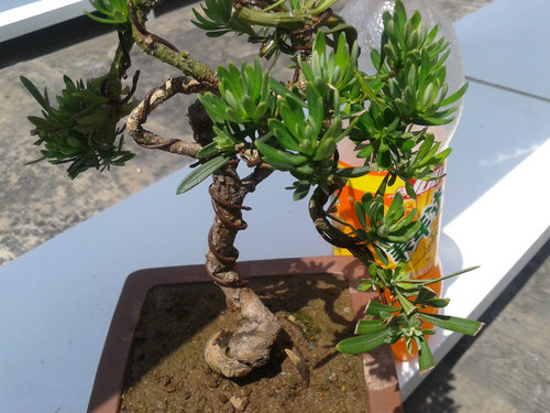 2013-06-05 13.28.26.jpg