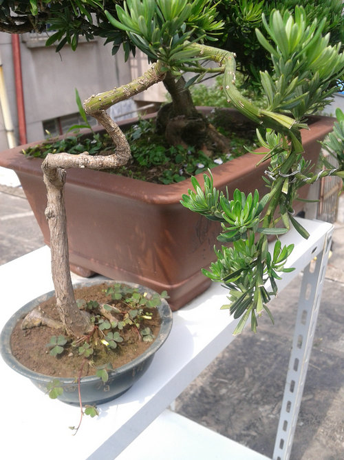 2013-06-05 14.25.34.jpg