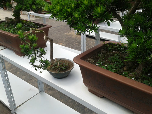 2013-06-05 14.26.50.jpg