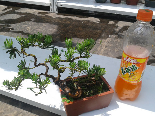 2013-06-05 13.09.12.jpg